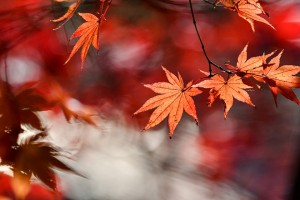 個(gè)人擾亂公共秩序罪會(huì)判多久?