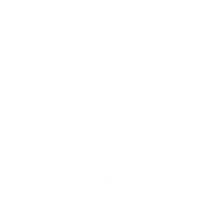 合同糾紛業(yè)務(wù)
