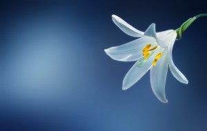醫(yī)療美容糾紛怎么解決?